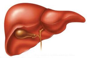 Nella fase acuta dell'elmintiasi, il fegato può ingrossarsi
