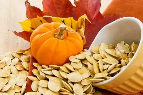 semi di zucca per i vermi
